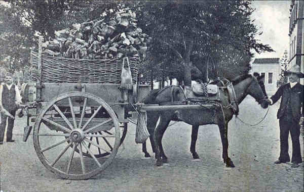 SN - SÃO MIGUEL, Costume - Edição Novo Armazém dos Carreiros - Dim. 14x9 cm - Col. A. Monge da Silva (cerca de 1903)