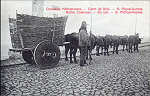 Nº 6 - SÃO MIGUEL, Costumes, Carro de bois - Editor desconhedico - Dim. 13,9x8,8 cm - Col. A. Monge da Silva (c. 1903)