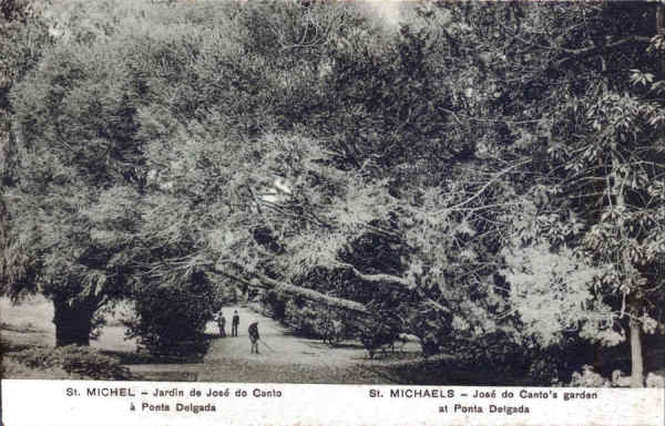 Nº 4 - SÃO MIGUEL, Ponta Delgada. Jardim de José do Canto - Edição anónima - Dim. 13,7x8,8 cm - Col. A. Monge da Silva (cerca de 1910)