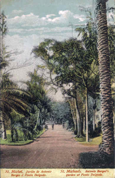 SN - SÃO MIGUEL. Ponta Delgada. Jardim Antonio Borges - Edição anónima - Dim. 13,8x9 cm - Col. A. Monge da Silva (cerca de 1910)