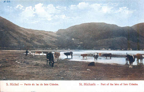 N 125 - SO MIGUEL. Sete Cidades. Parte do lago - Edio annima - Dim. 14x9 cm - Col. A. Monge da Silva (cerca de 1910)