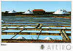 N. 19 - AVEIRO Salinas - Ed. Artes Grficas - SD - Dim. 15x10,5cm - Col. Mrio Silva.