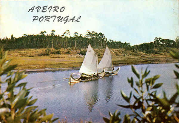 N. 645 - AVEIRO (Portugal) Moliceiros da Regio - Impricor Indstria Portuguesa de Cartes de Felicitaes,Ld - S/D - Dimenses: 14,8x10,4 cm. - Col. nio Semedo.