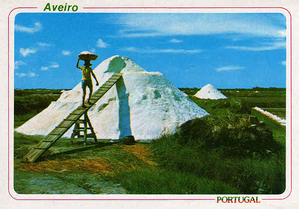 N. 3252 - Aveiro - Portugal Transportando o sal das salinas - Ed. ncora - Dim.15x10,5 cm. - Col. Mrio Silva.