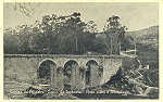 SN - CALDAS DA FELGUEIRA. Ponte sobre o Rio Mondego - Edio MIRANDA E IRMO de Canas de Senhorim - Circulado em  1966 - Dim. 14,1x9 cm - Col. A. Monge da Silva