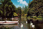 SN - Portugal - Caldas da Rainha - Lago do Parque - Editor RAN - Dcada de 1970 - Dim. 15x10 cm. - Col. M. Chaby