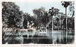 N 4 - Portugal. Caldas da Rainha. Parque da Rainha D. Leonor - Coleco Dlia - Editado em 1955 - Dim. 14x9 cm. - Col. M. Chaby