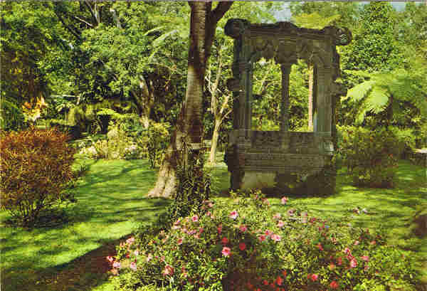 N. 90 - Museu da Quinta das Cruzes - Funchal - Trecho do parque vendo-se uma das janelas manuelinas - Ed. PERESTRELLOS-PHOTOGRAPHOS Impresso da Noruega - SD - Dim. 14,8x10,4 cm. - Col. Ftima e Manuel Bia (1975).