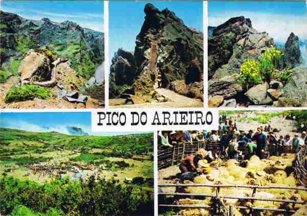 POR. 70 - MADEIRA Pico do Arieiro 1.810m (5939 ft) Tosquias - Ed. Francisco Ribeiro - Rua Nova de S. Pedro, 27 telef. 23930 FUNCHAL - MADEIRA GM - SD - Dim. 14,6x10,3 cm. -Col. Manuel e Ftima Bia (1975).