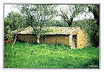 S/N -  OURM - PORTUGAL Ruralidades - Ed. RTL/F - 2003 - Fotografia: Quercus/Ourm - REGIO DE TURISMO - Leiria-Ftima www.rtleiriafatima.pt . - Dim. 10,5x15 cm. - Col. Manuel Bia (2009)