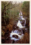 N 8 - PENELA. Penela - Espinhal. Cascata da Pedra da Ferida - Edio da Cm. Munic. de Penela - 2000 - Dim. 10,5x15 cm - Col. HJCO