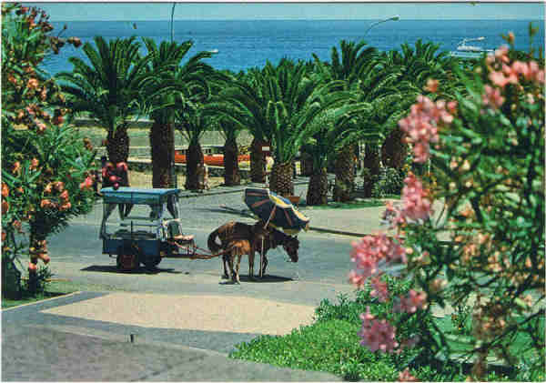 N 821 - PORTO SANTO Um aspecto da vila, com carroa tpica - Ed. BERNARDINO H.S. CARVO PARQUE RESIDENCIAL DOS PIORNAIS, BLOCO 9-3.A - 9000 FUNCHAL - SD - Dim. 15x10,4 cm - Col. Manuel Bia (1988).