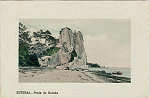 S/N - Praia da Rainha - Editor desc. - Dim. 140x90 mm - Col. A. Monge da Silva (anterior a 1910)