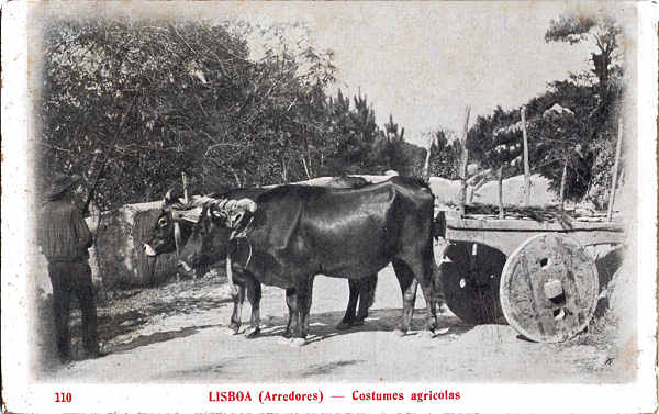 N 110 - Costumes agrcolas, arredores de Lisboa - Edio a Trinacria, Lisboa - Dim. 142x89 mm - Col. A. Monge da Silva (cerca de 1905)