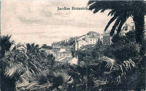 S/N - Jardim Botnico (2) - Edio da Seco de Postais dos Grande Armazns do Chiado, Lisboa - Dim. 138x87 mm - Col. A. Monge da Silva (cerca de 1910)