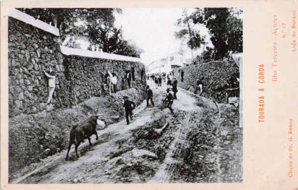 N 17 - Tourada  corda - Edio da Loja do Buraco, Clich do Sr. G.Ennes - Dim. 137x88 mm - Col. A. Monge da Silva (anterior a 1910)