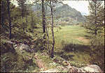 S/517 - Paisagem campestre desconhecida - Editor SAEMEC, Milano - Dim. 14,5x10,2 cm - Col. Monge da Silva