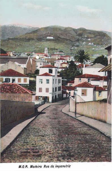 SN - Funchal, Rua da Imperatriz - Editor M.P.O. - Dim. 140x93 mm - Col. A. Monge da Silva (c.1910)