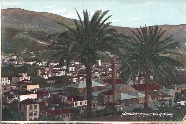 SN - Funchal, View of the Town - Editor desc. - Dim. 139x94 mm - Carimbo Postal 07MAR1910 - Col. A. Monge da Silva