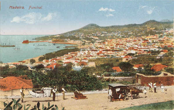 SN - Madeira. Funchal - Editor M.P.O. - Dim. 140x93 mm - Col. A. Monge da Silva (c. 1910)