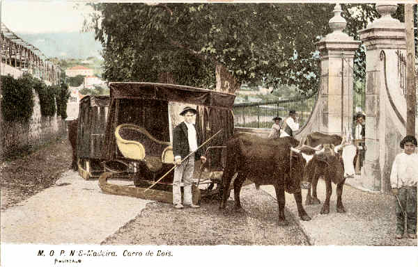 N. 8 - Carro de Bois (1) - Editor M.P.O. - Dim. 140x93 mm - Col. A. Monge da Silva (c.1907)