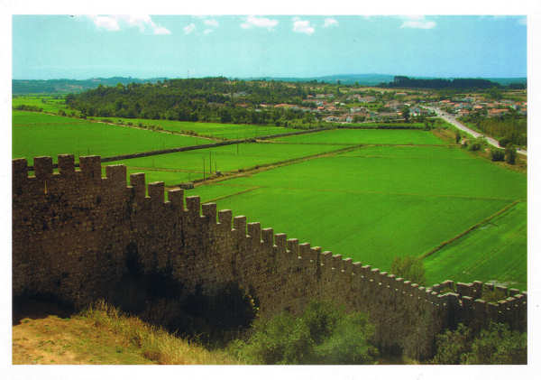 SN - Montemor-o-Velho - Vista dos Campos de Arroz - Ed. Gutenberg - Artes Grficas, Lda. - Carapinheira MMV - Edio da Cmara Municipal de Montemor-o-Velho, Portugal  Foto: CMMV - Joo Lobo - SD - Dim. 15x10,6 cm - Col. Manuel Bia (2012)