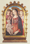 Ref 796 C. GUIDOCCIO COZZARELLI (1450-1516). La Madonna col Figlio e angeli (Siena, Palazzo Pubblico). Editioni I.F.I. Firenze. S/D. Dim. 147x104 mm. Col. E. Semedo.