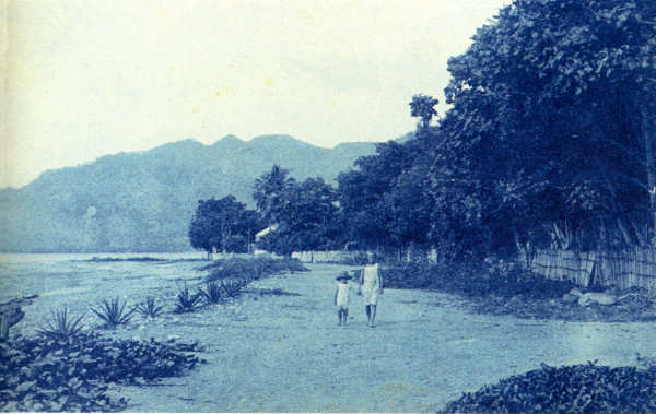 SN - Avenida marginal de Dili - Edio annima -  SD - Dim. ??x?? cm - Col. Monge da Silva (Cerca de 1910)