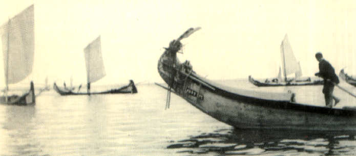 Barco moliceiro na apanha do molio. Fotografia de D. Jos de Castro.  / p. 27 /