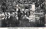 N. 1343 - Caldas da Rainha-Portugal Lago do Parque em dia de regata - Editor F.A.Martins, Lisboa - Dimenses:  9x14 cm. - Col. Miguel Chaby.