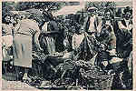 S/N - Portugal-Caldas da Rainha Interessante aspecto do mercado de frutas - Editor Fernando Daniel de Sousa - Editado em 1944 - Dimenses: 15,0x10,5 cm. - Col. Miguel Chaby