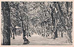S/N - Caldas da Rainha-Portugal Parque Rua Central - Editor Fernando Daniel de Sousa - Editado em 1927 - Dimenses: 14x9 cm. - Col. Miguel Chaby