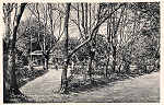 S/N - Caldas da Rainha-Portugal Parque - Trecho do Lago - Editor Fernando Daniel de Sousa - Editado em 1927 - Dimenses: 14x9 cm. - Col. Miguel Chaby.