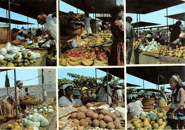N. 16 - LUANDA Mercado de S. Paulo - Ed. Elmar - S/D - Dimenses: 14,8x10,4 cm .  Col. Jos Manuel C. Pereira (1972).
