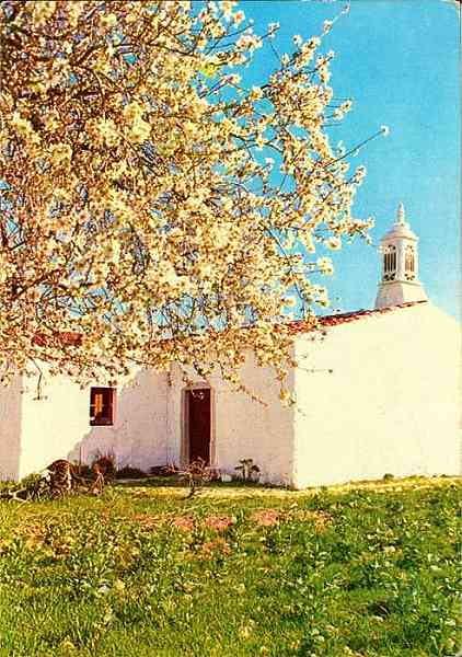 N. 704/Pr. - ALGARVE Amendoeiras em flor e Casa rstica - Edio OCASO - S/D - Dimenses: 10,3x14,8 cm. - Col. HJCO (Circulado em 1973)