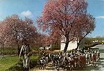 N. 173 - Fotografia a cores de Csar de S - Cena tpica do inverno algarvio - S/D - Dimenses: 14,8x10 cm - Col. Gaspar Albino - (Dcada de 1960)