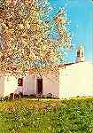 N. 704/Pr. - ALGARVE Amendoeiras em flor e Casa rstica - Edio OCASO - S/D - Dimenses: 10,3x14,8 cm. - Col. HJCO (Circulado em 1973)
