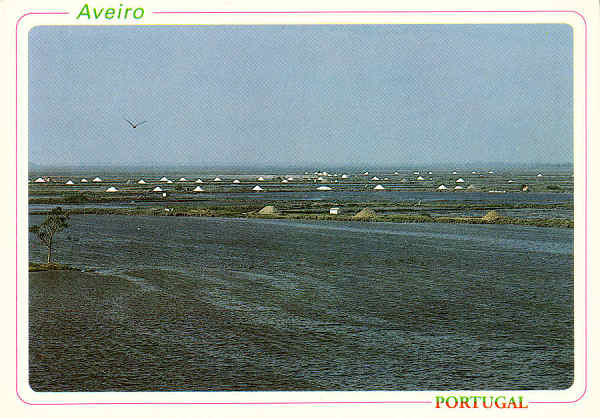 N. 59 - AVEIRO Portugal Salinas. - Distribuidores Bruno da Rocha, Aveiro - S/D - Dimenses: 14,9x10,5 cm. - Col. nio Semedo.