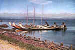 Srie 69 - N. 8 - Aveiro (Portugal) Barcos moliceiros - Edio da Comisso Municipal de Turismo de Aveiro - S/D - Dimenses: 14,9x10,1 cm. - Col. Graa Maia.
