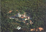 N 996 - BUSSACO. Vista parcial da floresta - Ed. A.D. C. Luso - Fotografia -SD - Dim. 14,6x9,3 cm - Col. A. Monge da Silva
