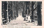 N. 1265 - Portugal Caldas da Rainha Rua Andrade - Editor Alberto Malva (Editado em 1910) - Dimenses: 9x14 cm. - Col. Miguel Chaby