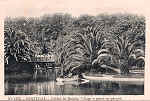 N. 1275 - Portugal Caldas da Rainha Lago e ponte no Parque - Editor Alberto Malva (Editado em 1910) - Dimenses: 9x14 cm. - Col. Miguel Chaby