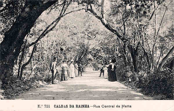 N. 781 - CALDAS DA RAINHA-Rua Central da Matta - Editor Alberto Malva (Editado em 1908) - Dimenses: 14x9 cm. - Col. Miguel Chaby