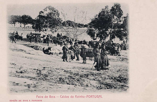 S/N - Portugal-Caldas da Rainha Feira de bois - Editor Dias & Paramos (Editado em 1904) - Dimenses: 14x9 cm. - Col. Miguel Chaby.