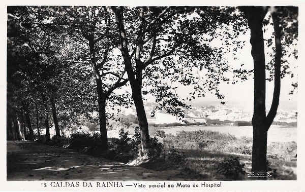 N. 12 - Portugal Caldas da Rainha Vista parcial na Mata do Hospital - Editor Passaporte Loty (Editado em 1951) - Dimenses: 9x14 cm. - Col. Miguel Chaby