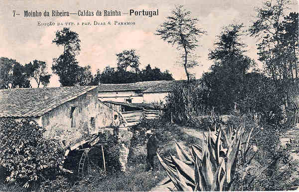 N. 7 - Portugal Caldas da Rainha Moinho da Ribeira - Editor Dias e Paramos (Editado em 1906) - Dimenses: 9x14 cm. - Col. Miguel Chaby