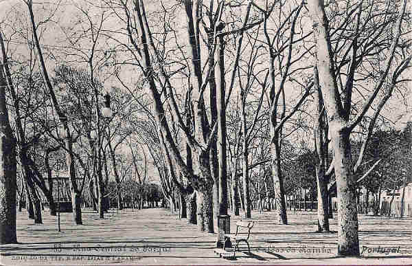 N. 55 - Portugal Caldas da Rainha Rua Central do Parque_Editor Dias e Paramos_Editado 1906_Dim 9x14 cm. - Col. M. Chaby