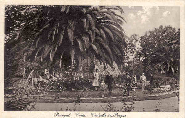 SN - Portugal. Curia. Corbeille do Parque - Ed. Bazar Soares - Porto - (Foto Soares Leito, Curia) - Dim. 13,7x9,0 