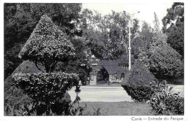 SN - Curia - Entrada do Parque - Ed. Mimosa (fotogrfico) - Dim. 13,6x8,8cm - Circul. 6-1964 - Colec. A. Simes (339).