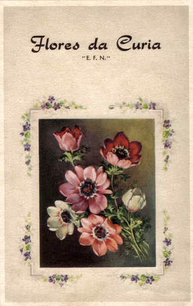 SN - Flores da Curia - Ed. E.F.N. - Curia - Dim. 14,0x8,9 cm - circ. 7-1917 - Col. A Simes (144).